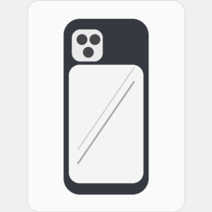 Silver Line Black Border Case